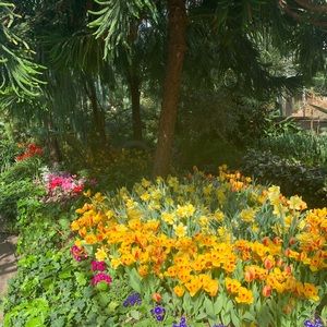 Meet your Posher, Ailish